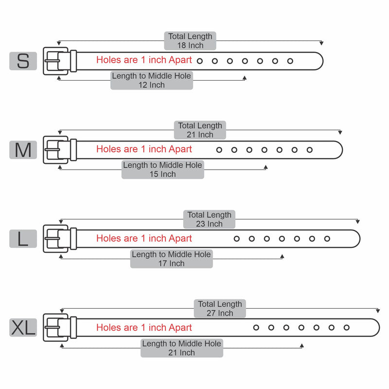 Leather Collars for Strong Dogs - 